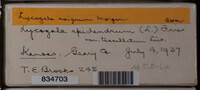 Image Associated With the Occurence